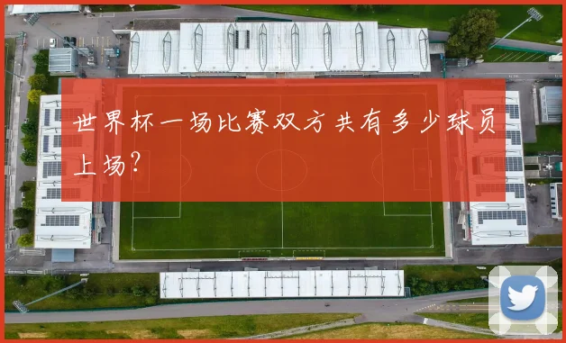 世界杯一场比赛双方共有多少球员上场?