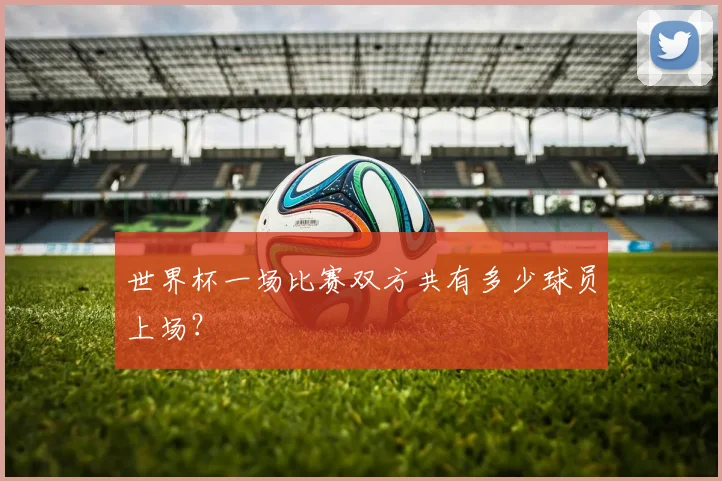 世界杯一场比赛双方共有多少球员上场?