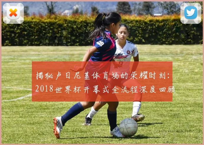 揭秘卢日尼基体育场的荣耀时刻：2018世界杯开幕式全流程深度回顾