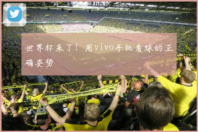 世界杯来了！用vivo手机看球的正确姿势