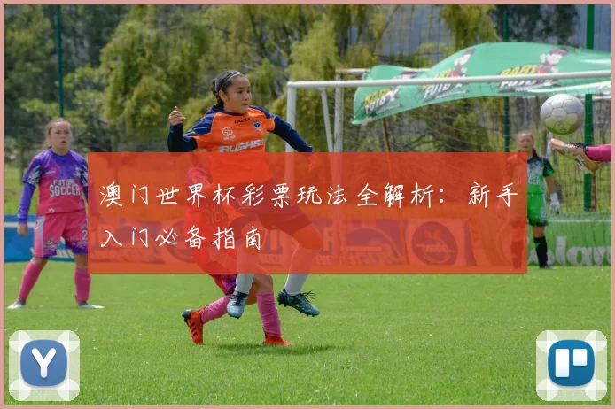 澳门世界杯彩票玩法全解析：新手入门必备指南