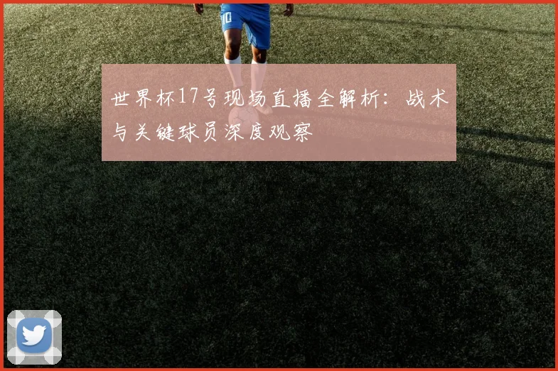 世界杯17号现场直播全解析：战术与关键球员深度观察