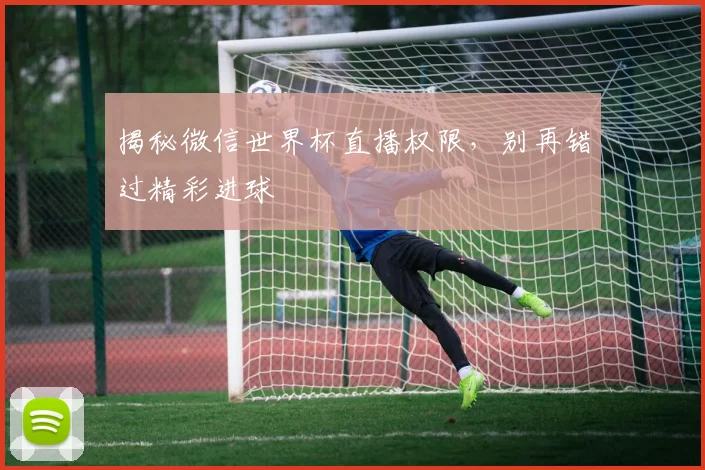 揭秘微信世界杯直播权限，别再错过精彩进球